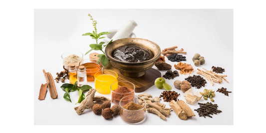 The Future of Ayurveda: How Atreya Ayurvedic College Shapes Tomorrow's Healers